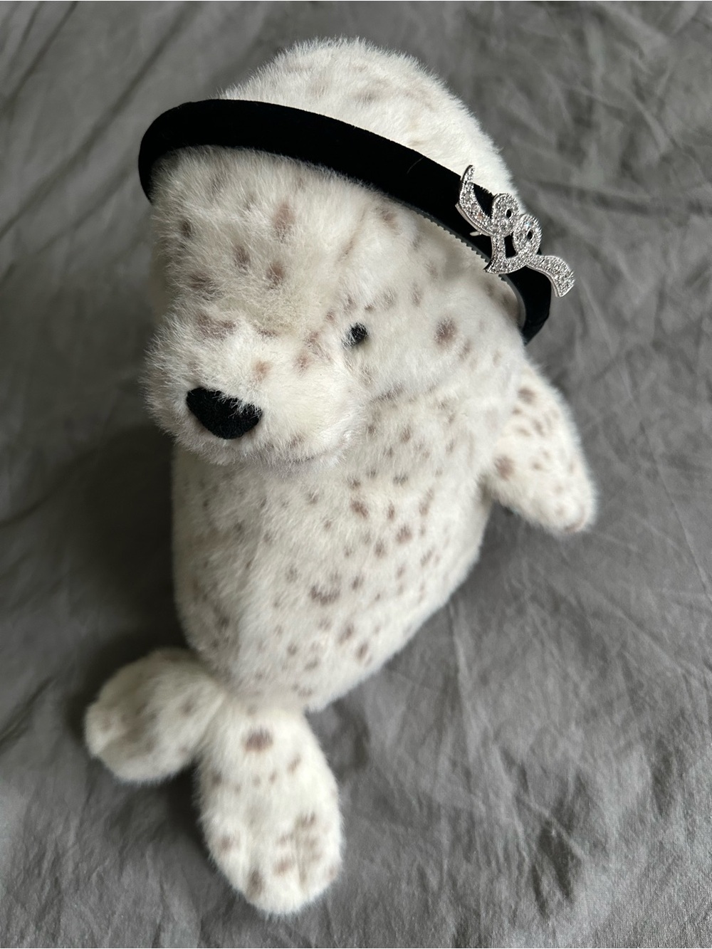 Black Velvet Pet Headband with Silver Bow Accent